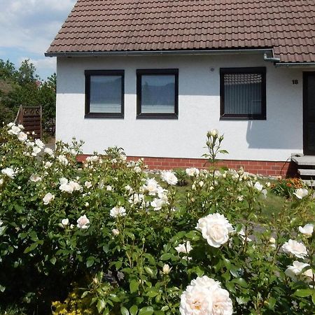 Fewo Am Sassenberg Blankenburg  Buitenkant foto